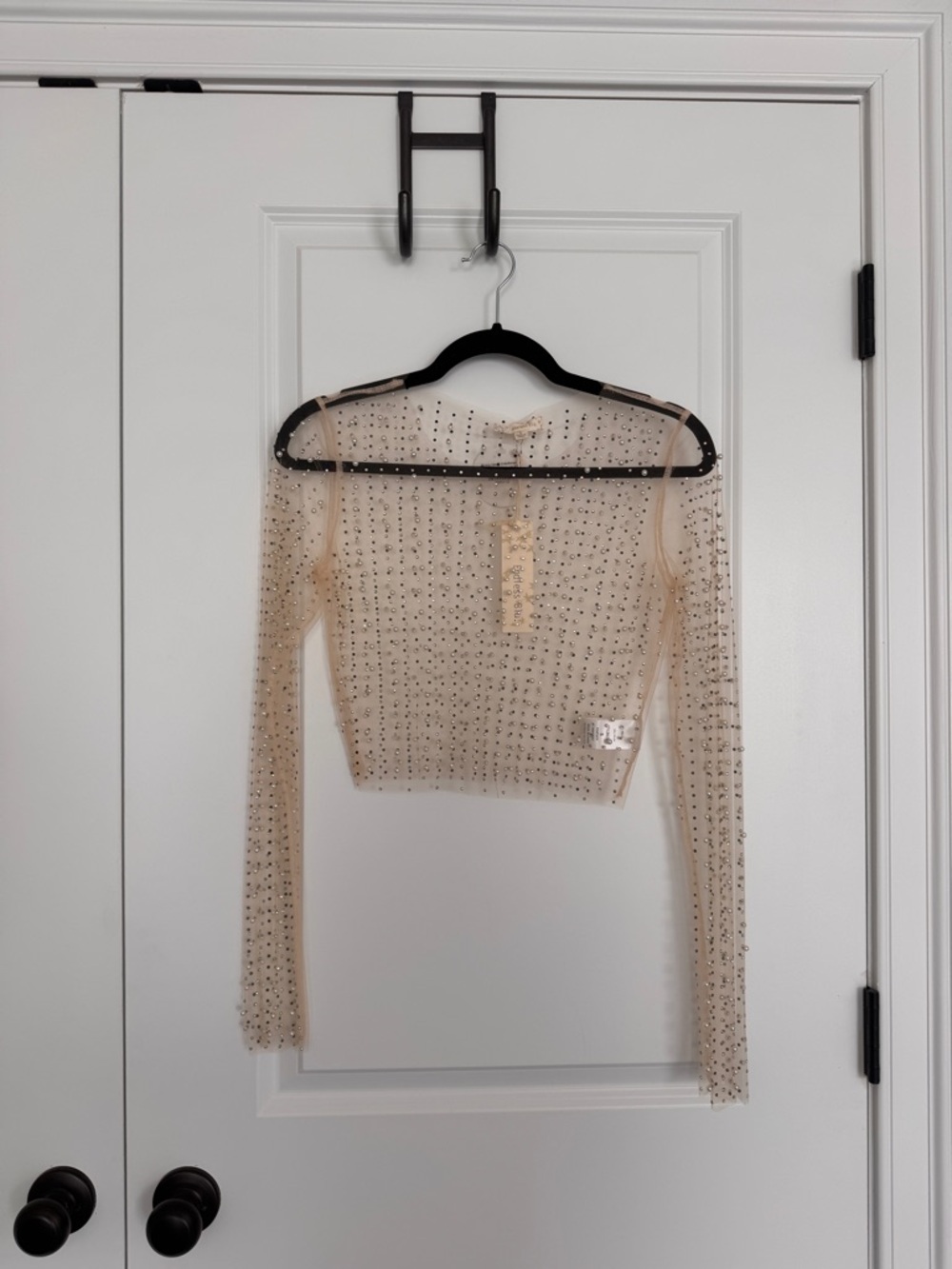 Embellished Sheer Long-Sleeve Crop Top - Nude